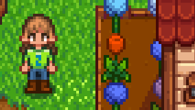round ears