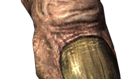giants have more than one toe